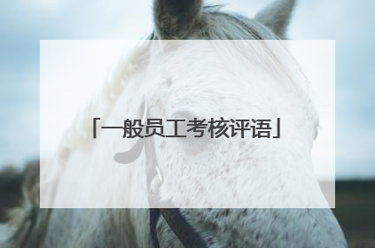 一般员工考核评语
