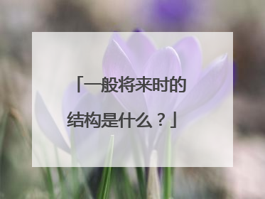 一般将来时的结构是什么？