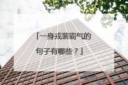 一身戎装霸气的句子有哪些？