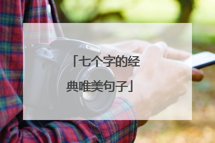 七个字的经典唯美句子