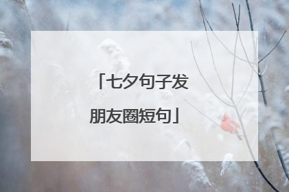 七夕句子发朋友圈短句