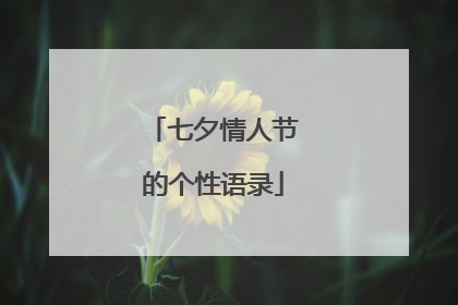 七夕情人节的个性语录