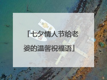 七夕情人节给老婆的温馨祝福语