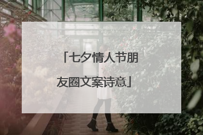 七夕情人节朋友圈文案诗意