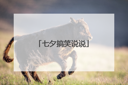 七夕搞笑说说