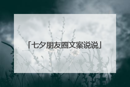七夕朋友圈文案说说