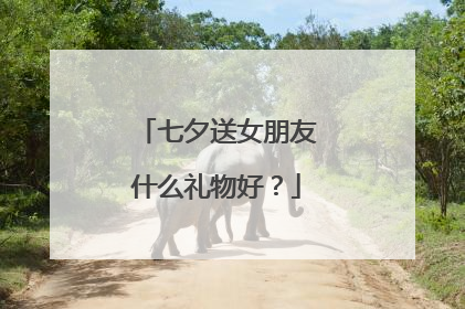 七夕送女朋友什么礼物好？