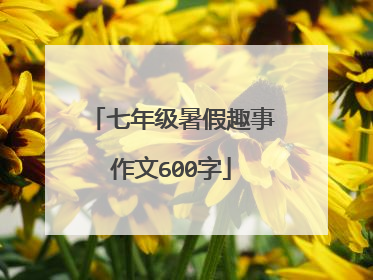七年级暑假趣事作文600字