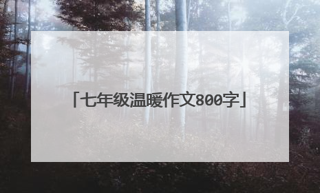 七年级温暖作文800字