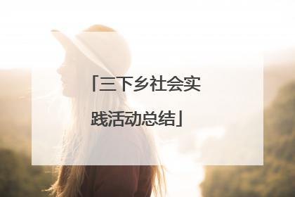 三下乡社会实践活动总结