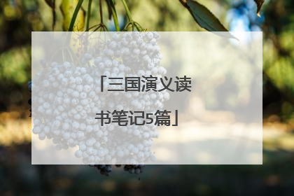 三国演义读书笔记5篇