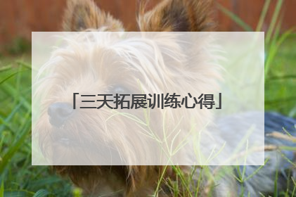 三天拓展训练心得