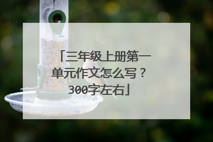 三年级上册第一单元作文怎么写?300字左右