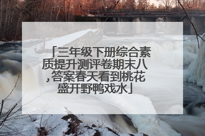 三年级下册综合素质提升测评卷期末八,答案春天看到桃花盛开野鸭戏水