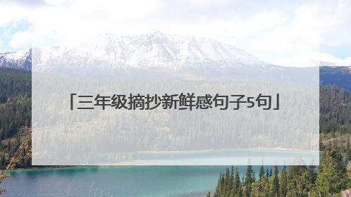 三年级摘抄新鲜感句子5句