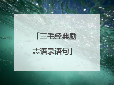 三毛经典励志语录语句