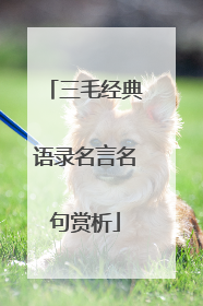三毛经典语录名言名句赏析