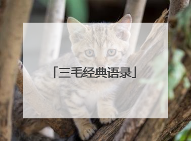 三毛经典语录