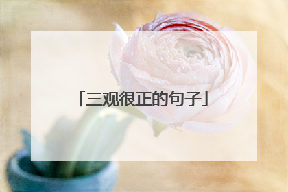 三观很正的句子