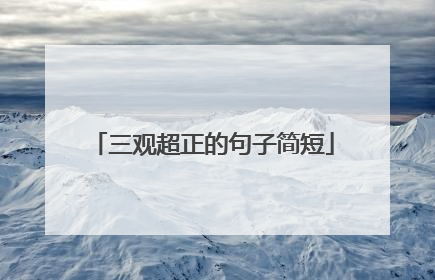 三观超正的句子简短