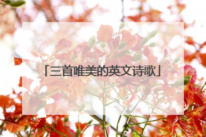 三首唯美的英文诗歌