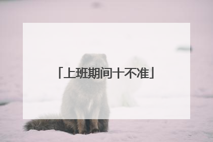 上班期间十不准