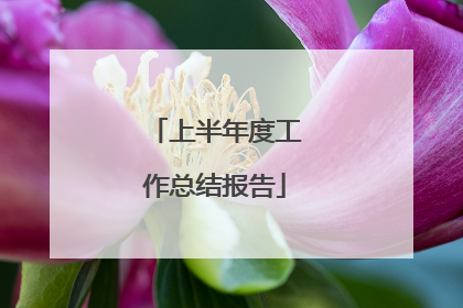上半年度工作总结报告