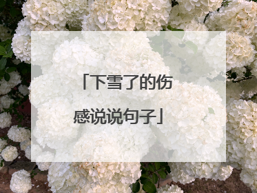 下雪了的伤感说说句子
