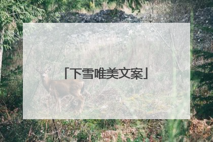 下雪唯美文案