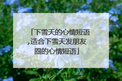 下雪天的心情短语,适合下雪天发朋友圈的心情短语