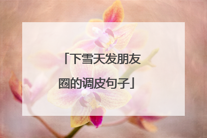 下雪天发朋友圈的调皮句子