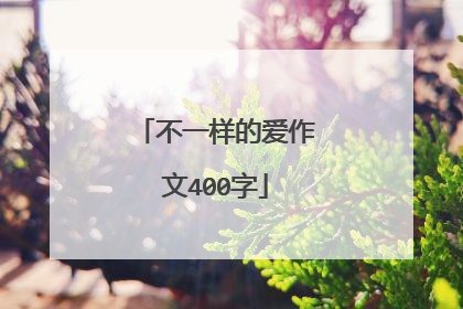 不一样的爱作文400字