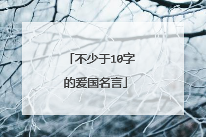 不少于10字的爱国名言