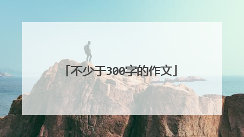 不少于300字的作文