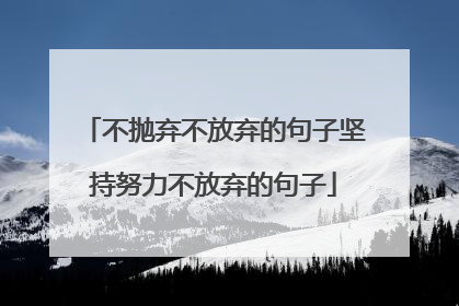 不抛弃不放弃的句子坚持努力不放弃的句子
