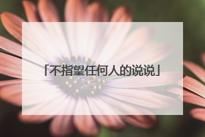 不指望任何人的说说
