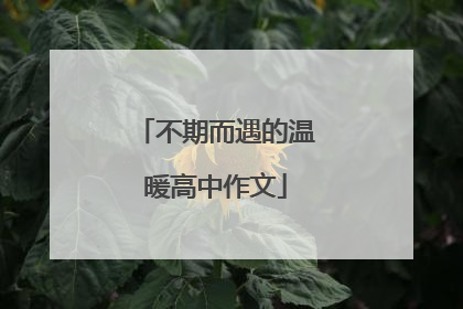 不期而遇的温暖高中作文