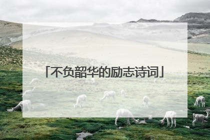 不负韶华的励志诗词