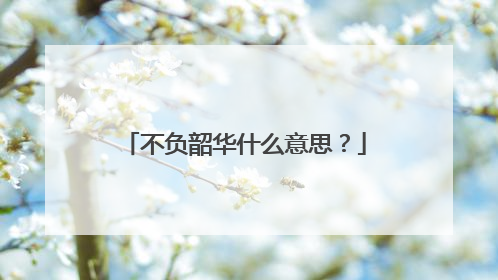不负韶华什么意思?