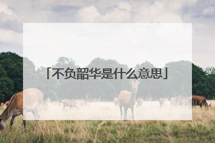 不负韶华是什么意思