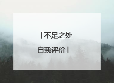 不足之处自我评价