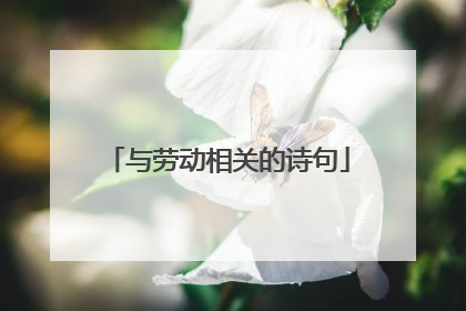 与劳动相关的诗句