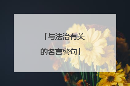 与法治有关的名言警句