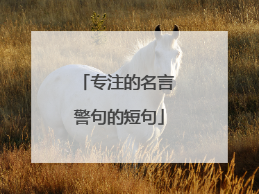 专注的名言警句的短句