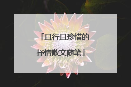且行且珍惜的抒情散文随笔