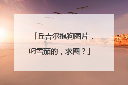 丘吉尔抱狗图片,叼雪茄的,求图?