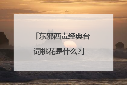 东邪西毒经典台词桃花是什么?