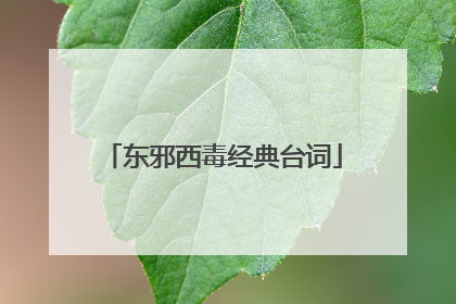 东邪西毒经典台词