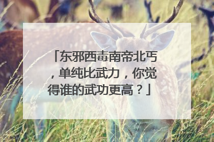东邪西毒南帝北丐，单纯比武力，你觉得谁的武功更高？
