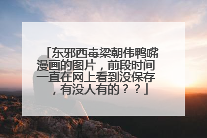 东邪西毒梁朝伟鸭嘴漫画的图片，前段时间一直在网上看到没保存，有没人有的？？